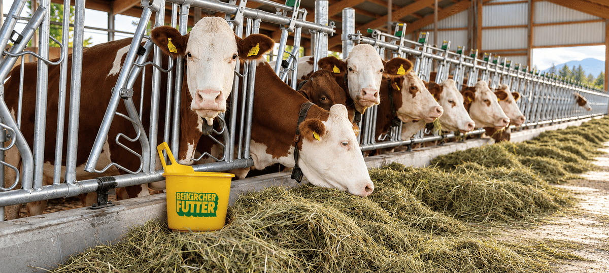 Nutrizione Animale